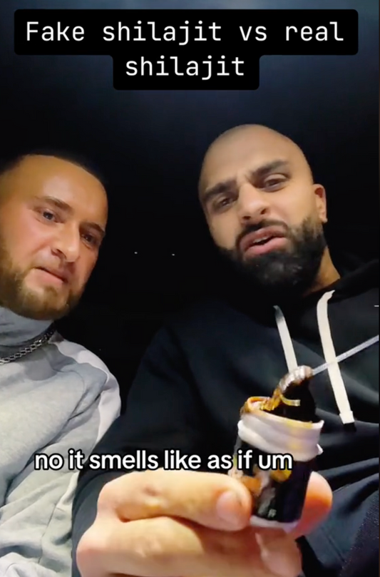 Real Shilajit vs Fake Shilajit